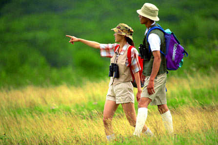 two people having a walk